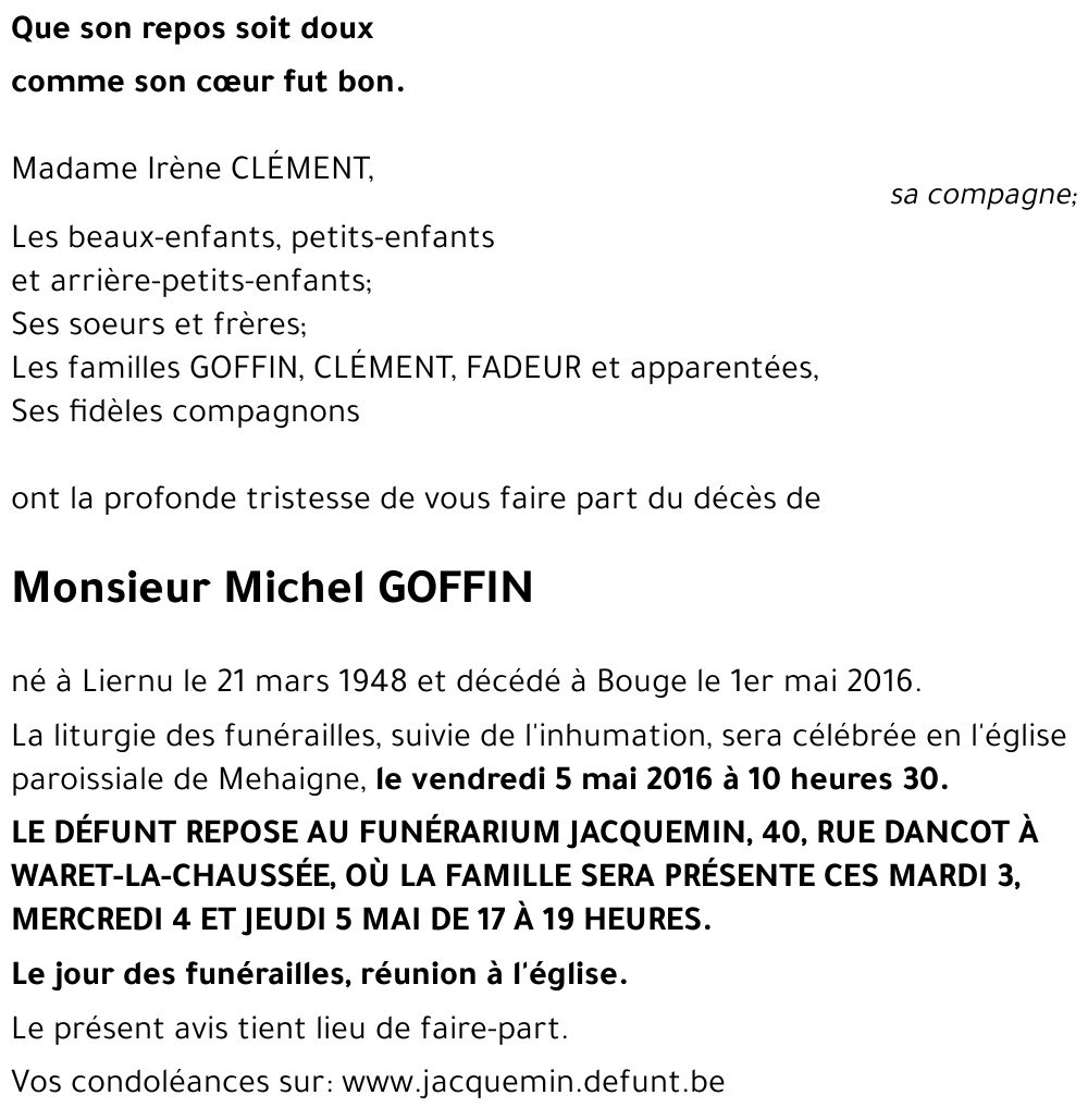 Michel GOFFIN