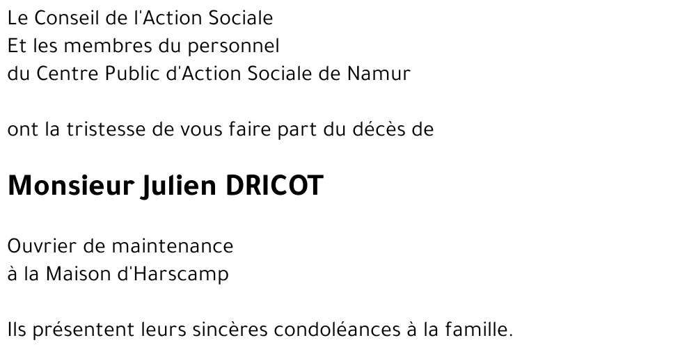 Julien DRICOT