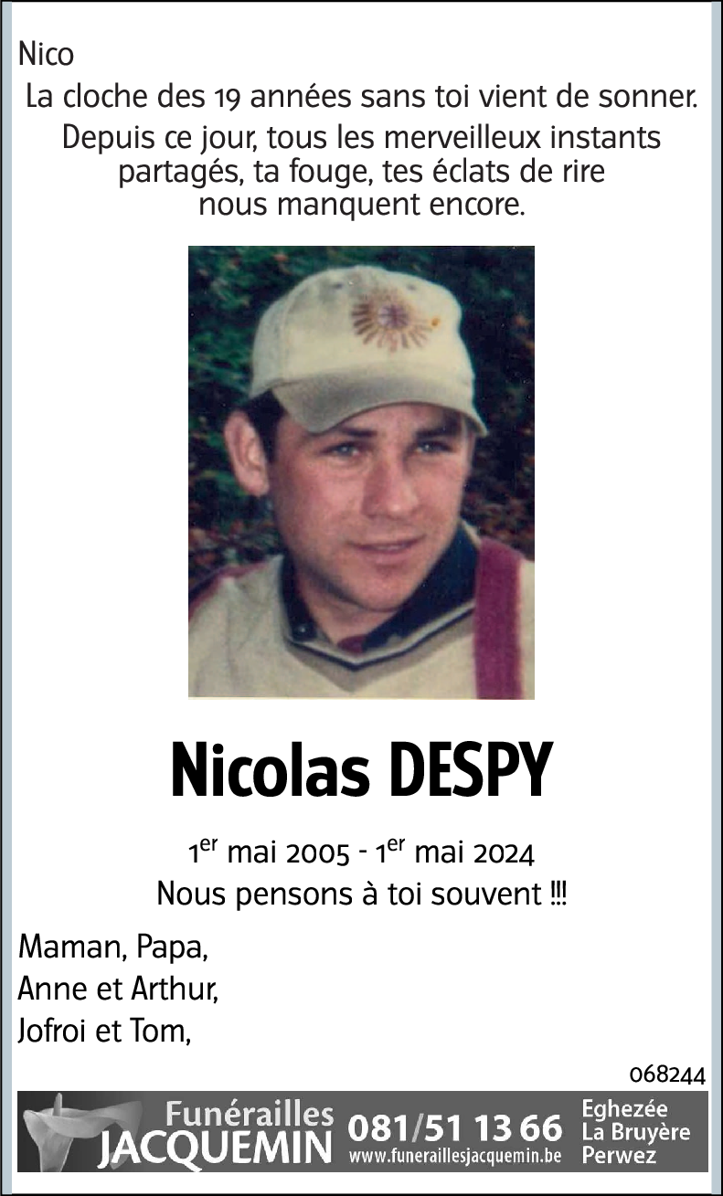 Nicolas Despy